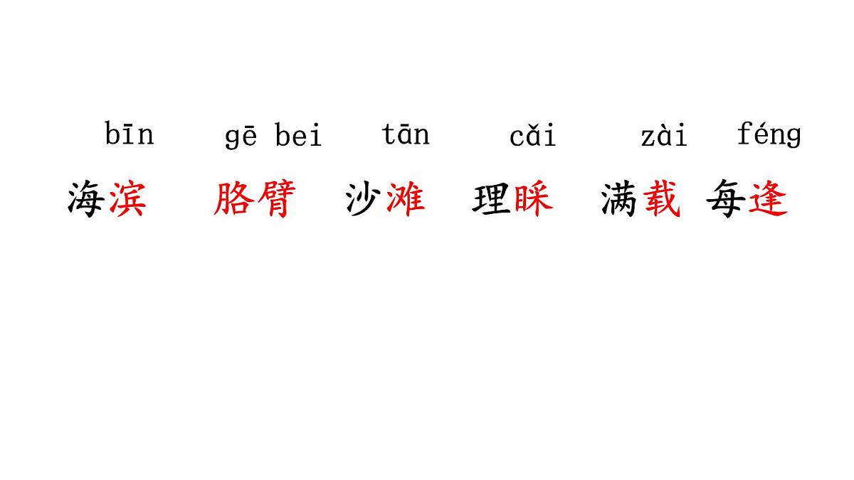 统编版语文三年级上册17 海滨小城 课件第4页