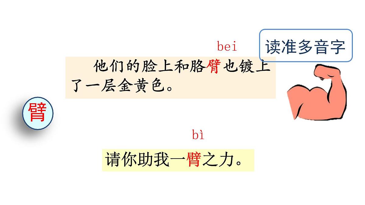 统编版语文三年级上册17 海滨小城 课件第5页