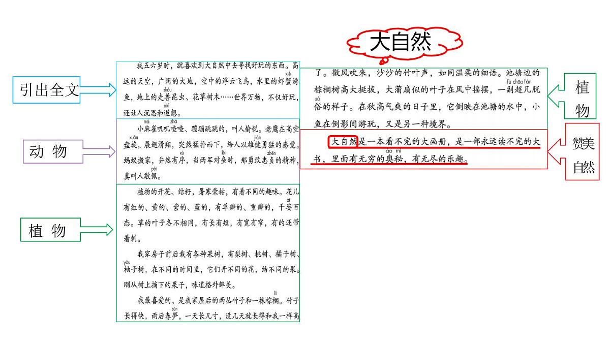 统编版语文三年级上册22 读不完的大书 课件第6页