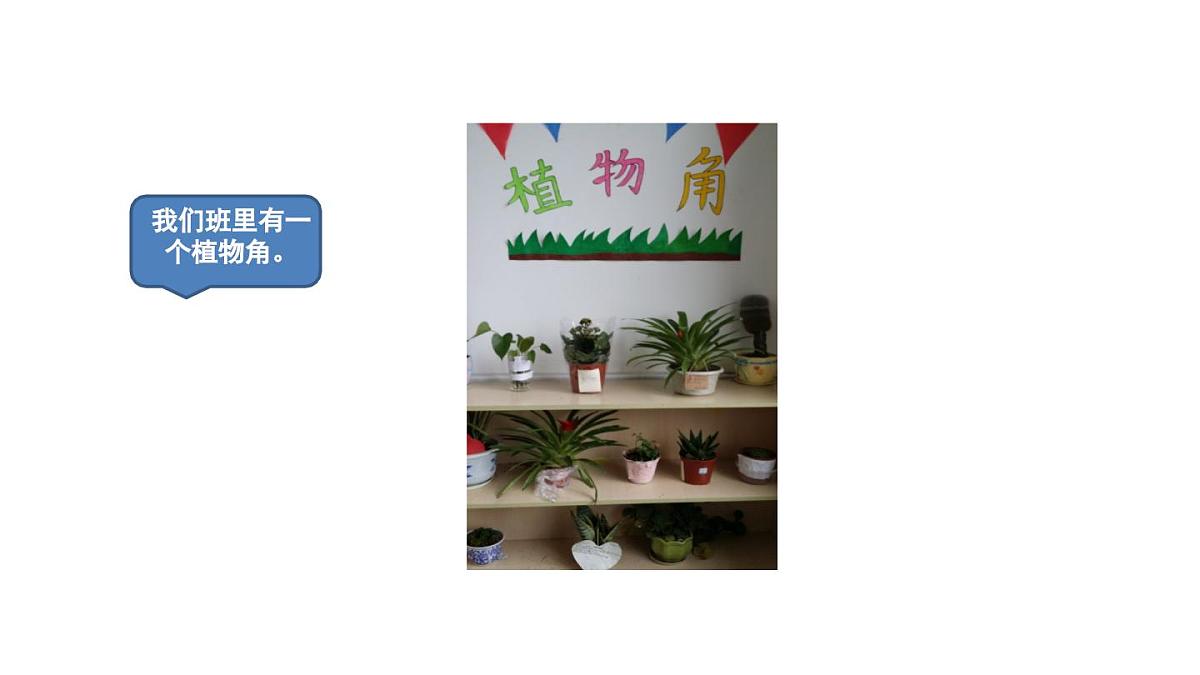 统编版语文三年级上册习作：我有一个想法 课件第5页