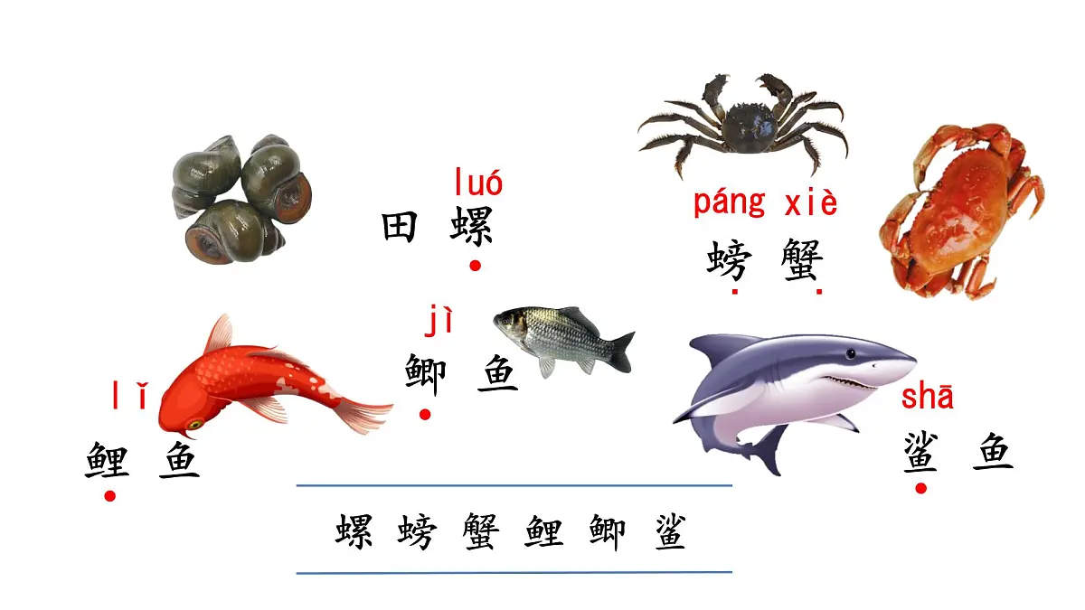 统编版语文三年级上册语文园地七 课件第6页