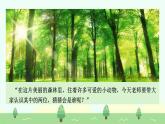 【新課標】統(tǒng)編版（2024）語文二年級上冊  第八單元《稱贊》課件（第1課時）（含視頻）+教案+字體0
