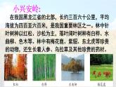 統(tǒng)編版語文三年級上冊課件《18 美麗的小興安嶺》