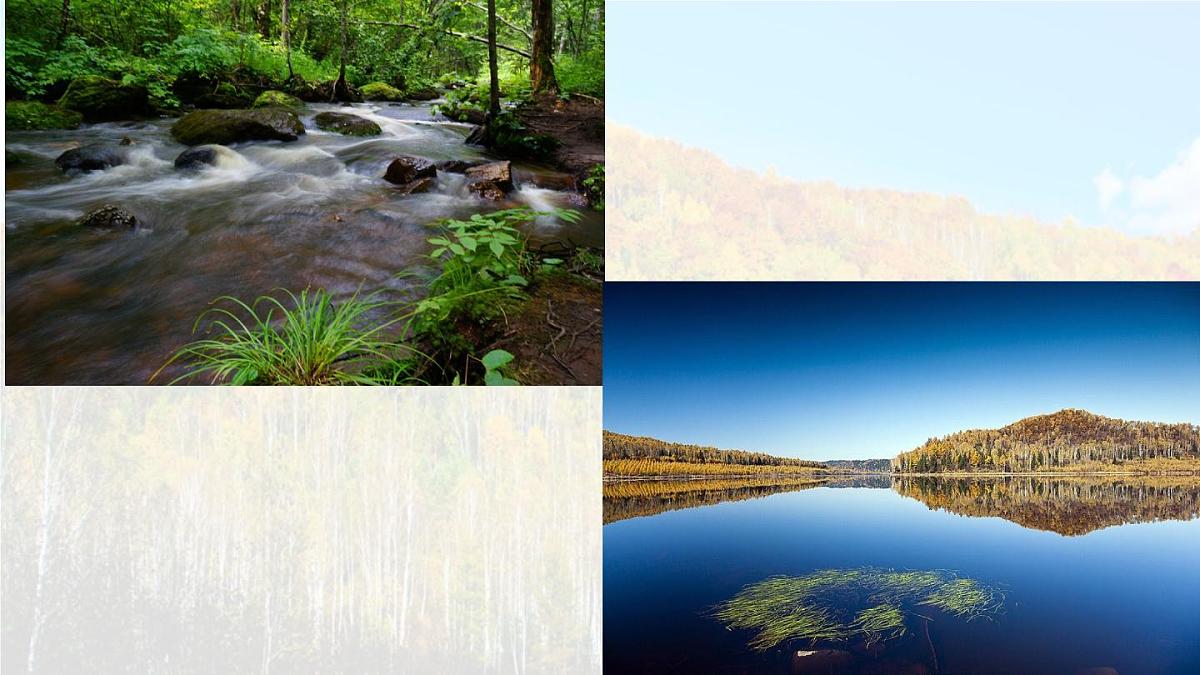 统编版语文三年级上册课件《18 美丽的小兴安岭》第4页