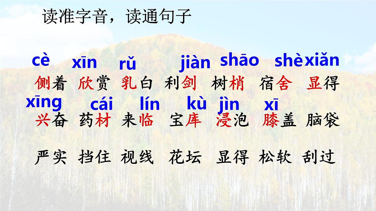 统编版语文三年级上册课件《18 美丽的小兴安岭》第6页