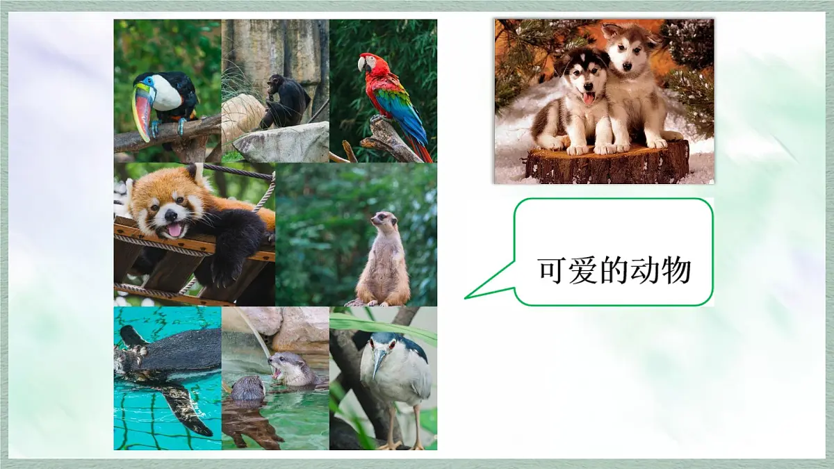 统编版语文三年级上册课件《第五单元习作：我们眼中的缤纷世界》第3页