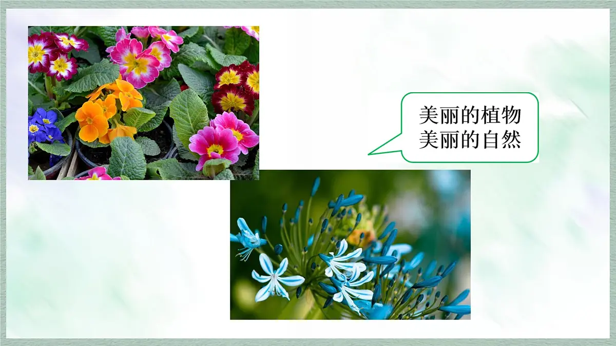 统编版语文三年级上册课件《第五单元习作：我们眼中的缤纷世界》第5页