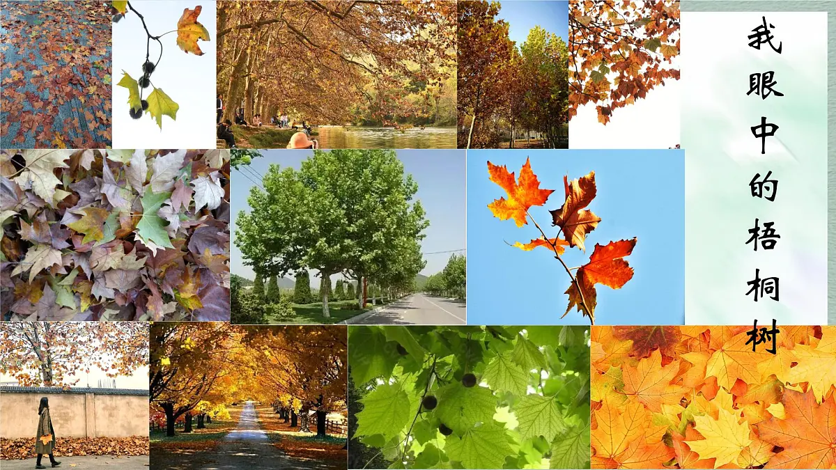 统编版语文三年级上册课件《第五单元习作：我们眼中的缤纷世界》第7页