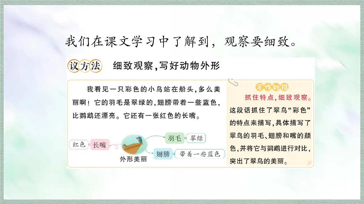 统编版语文三年级上册课件《第五单元习作：我们眼中的缤纷世界》第8页