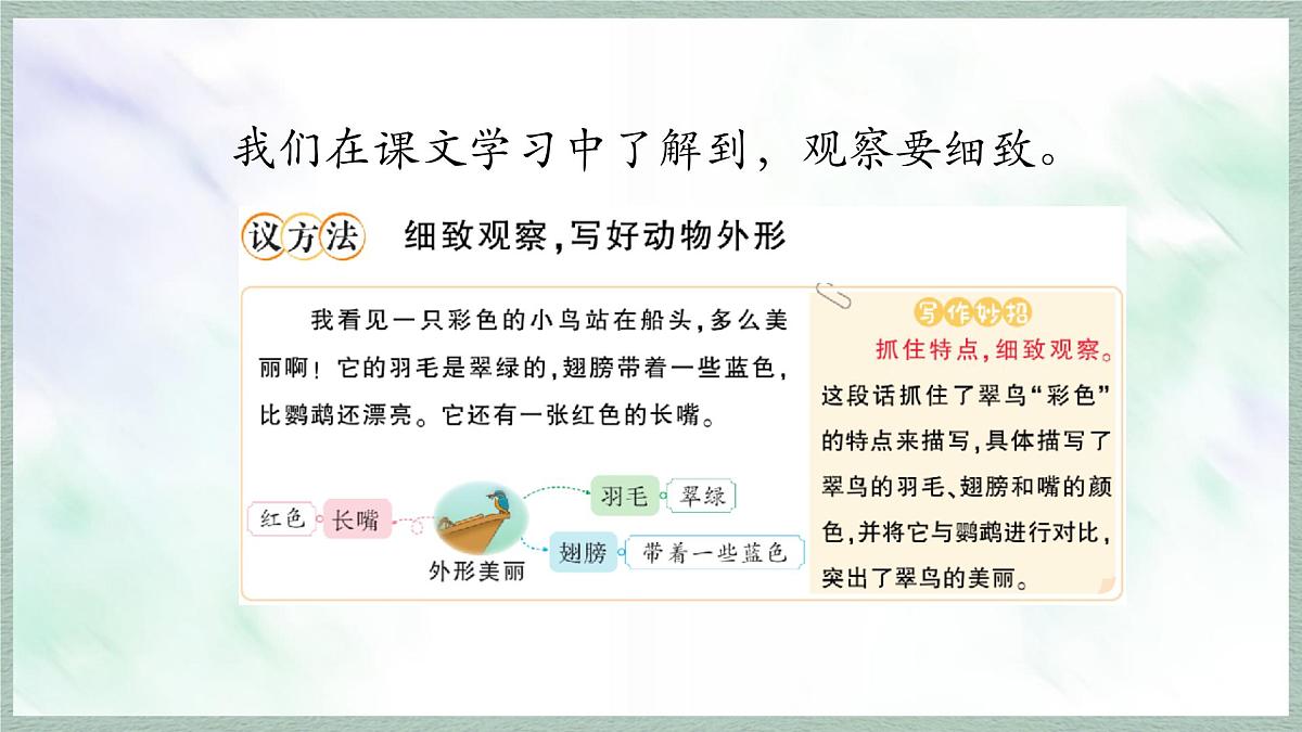 统编版语文三年级上册课件《第五单元习作：我们眼中的缤纷世界》第8页