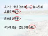 統(tǒng)編版語文三年級上冊課件《16 富饒的西沙群島》