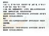 統(tǒng)編版語文三年級上冊課件《14 搭船的鳥》