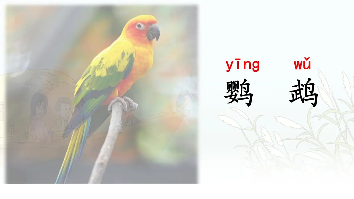 统编版语文三年级上册课件《14 搭船的鸟》第6页