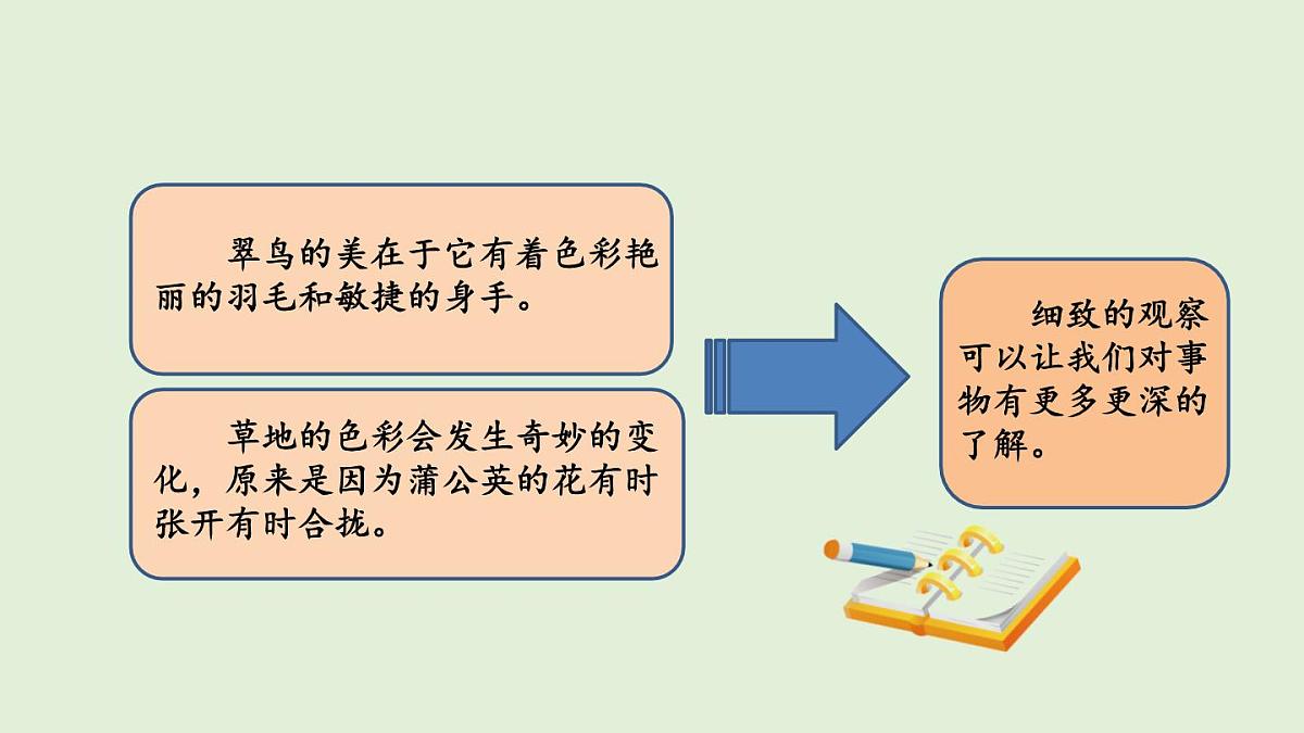 梳理交流与初试身手（课件）2025-2026学年统编版三年级语文上册第4页