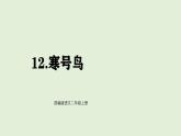 12 寒號鳥（課件）2025-2026學(xué)年統(tǒng)編版二年級語文上冊