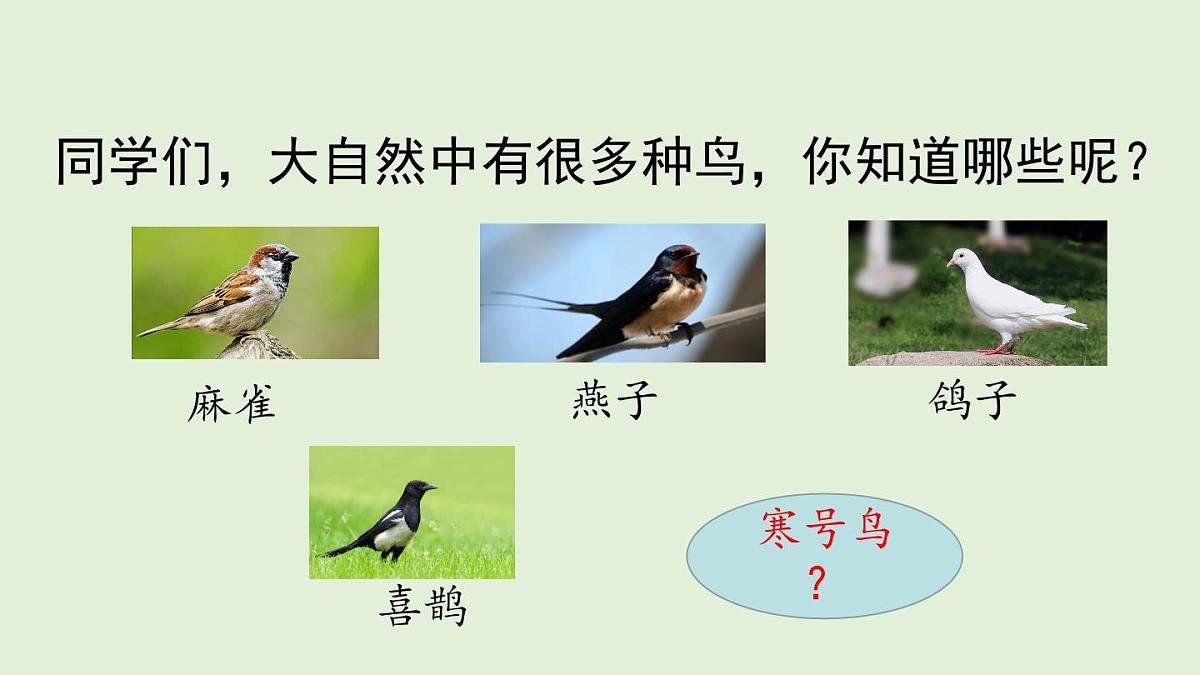 12 寒号鸟（课件）2025-2026学年统编版二年级语文上册第2页