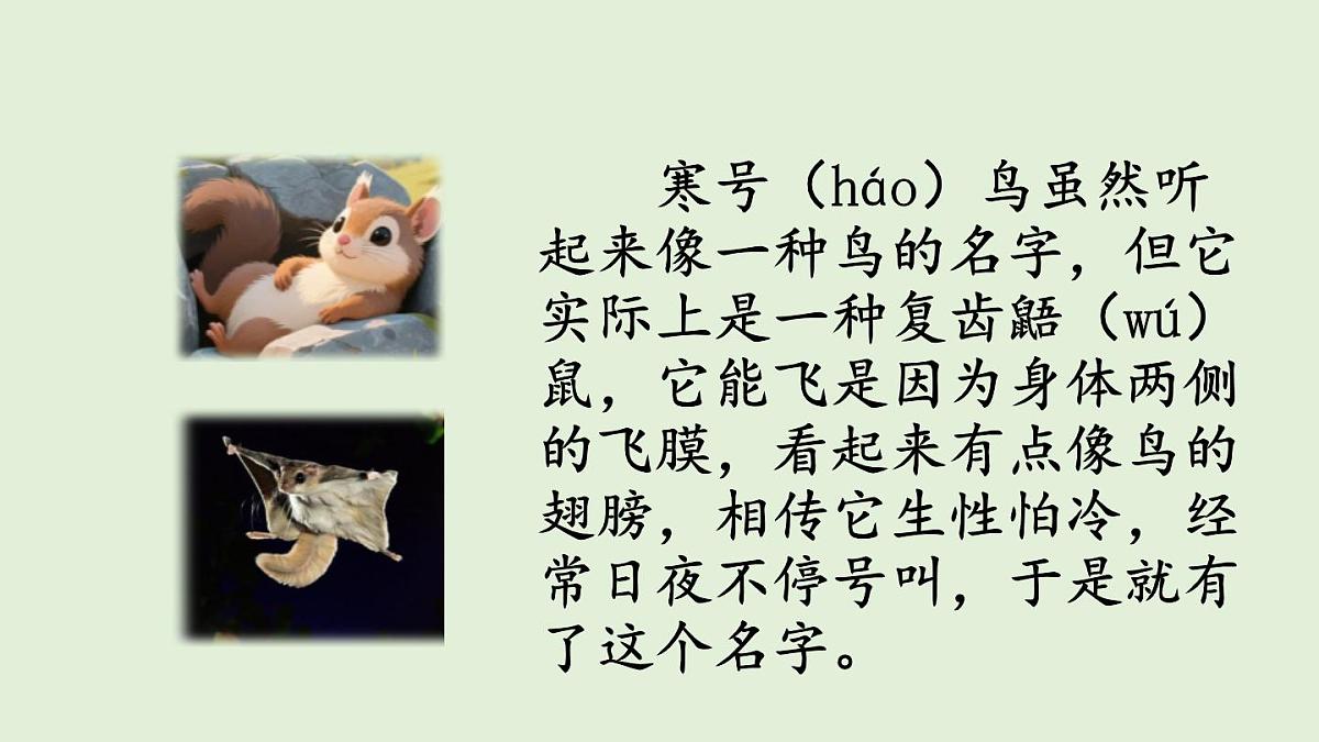 12 寒号鸟（课件）2025-2026学年统编版二年级语文上册第3页