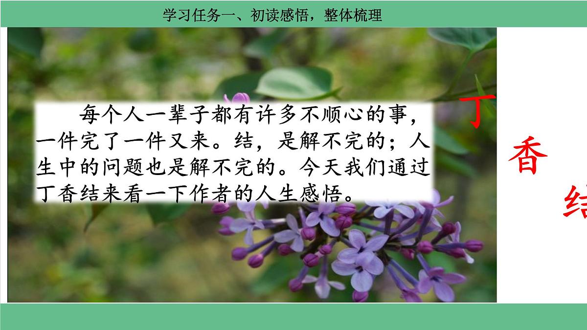 【核心素养目标】六上语文2《丁香结》（部编版）课件第3页