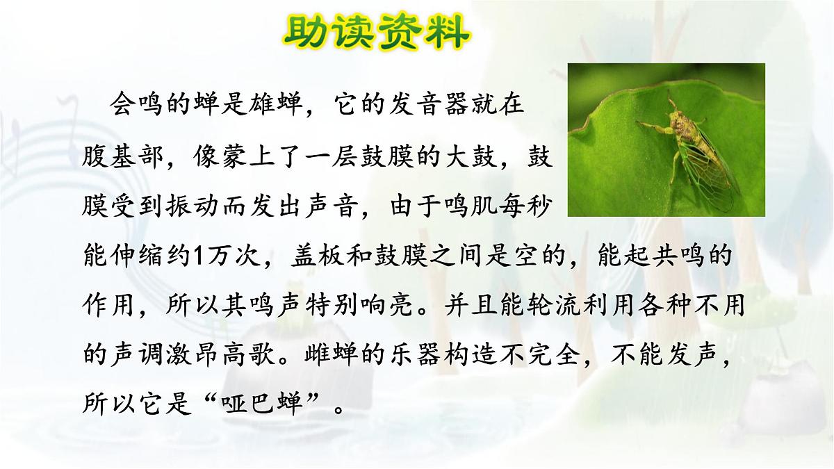 统编版语文三年级上册课件《21 大自然的声音》第4页