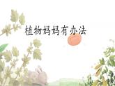 統(tǒng)編版語文二年級上冊課件《3 植物媽媽有辦法》