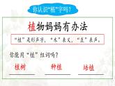 統(tǒng)編版語文二年級上冊課件《3 植物媽媽有辦法》
