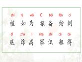 統(tǒng)編版語文二年級上冊課件《3 植物媽媽有辦法》