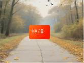 5、鋪滿金色巴掌的水泥道（教案+課件+同步練習(xí)）（含答案）