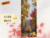 6、秋天的雨（教案+課件+同步練習(xí)）（含答案）