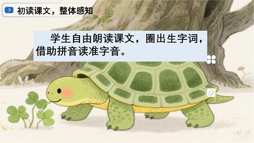 9、《犟龟》课件第6页