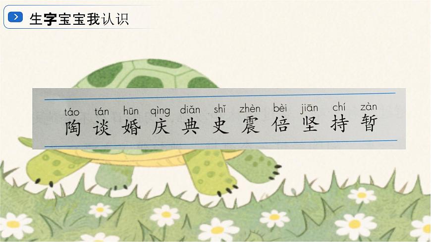 9、《犟龟》课件第8页