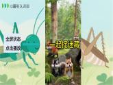 12、在牛肚子里旅行（教案+課件+同步練習(xí)）（含答案）