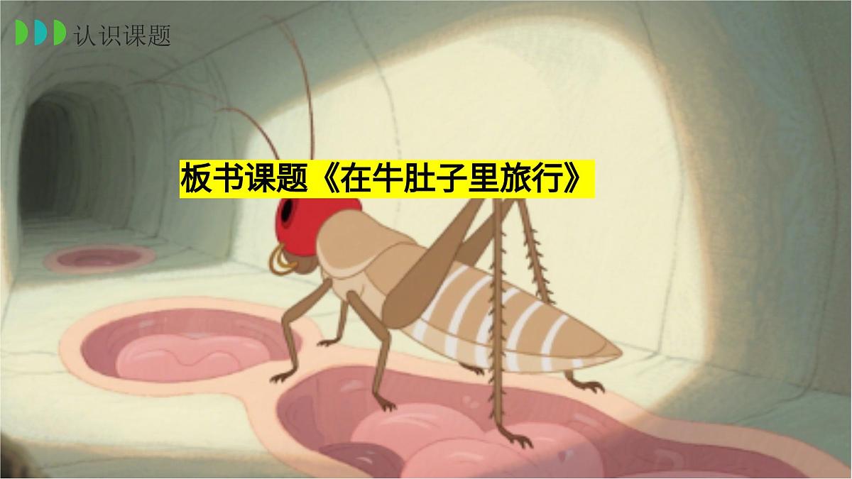 12、《在牛肚子里旅行》课件（2课时）第7页
