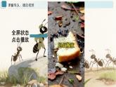 13、一塊奶酪（教案+課件+同步練習(xí)）（含答案）