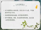 25秋統(tǒng)編版語文三年級上冊第6單元6.18《美麗的小興安嶺》  課件