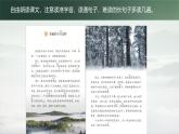 25秋統(tǒng)編版語文三年級上冊第6單元6.18《美麗的小興安嶺》  課件