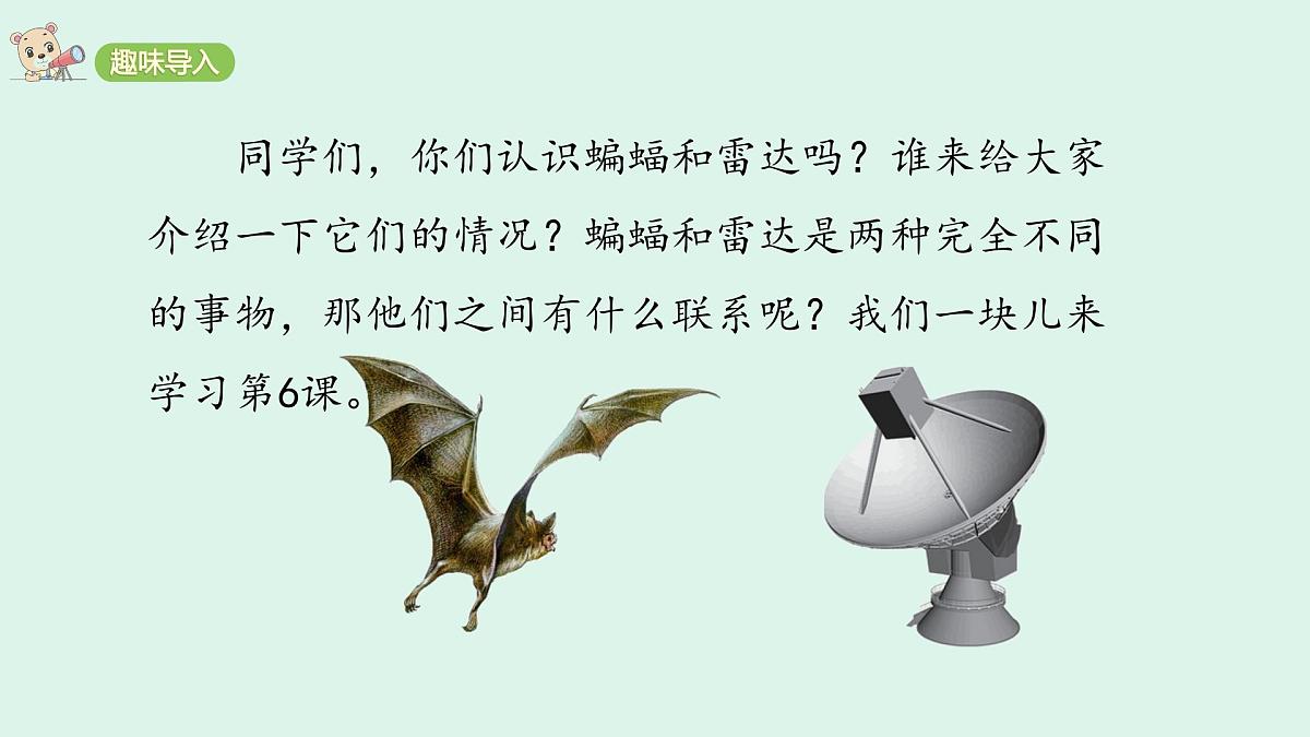 6 《夜间飞行的秘密》 (课件)2025-2026学年统编版四年级语文上册第2页