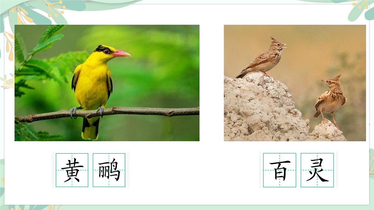 统编版语文二年级上册课件《识字3 拍手歌》第7页