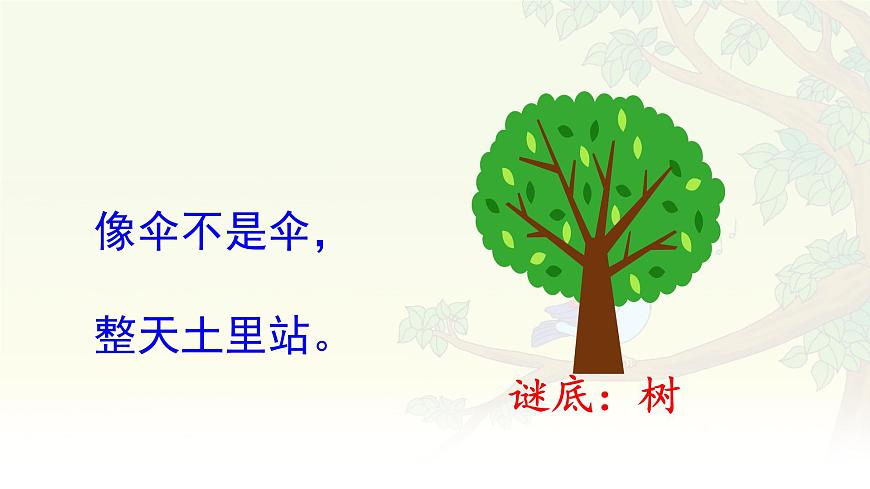 统编版语文二年级上册课件《识字2 树之歌》第1页