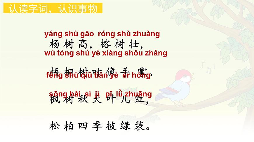 统编版语文二年级上册课件《识字2 树之歌》第5页