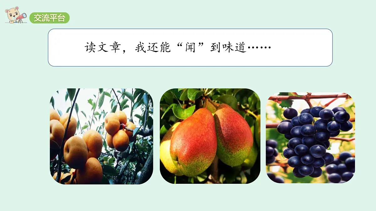 语文园地一 (课件)2025-2026学年统编版四年级语文上册第5页