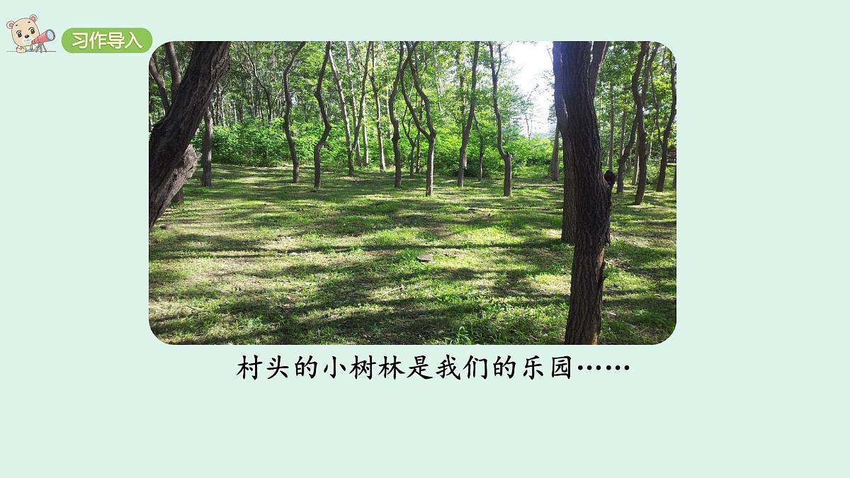 习作：推荐一个好地方 (课件)2025-2026学年统编版四年级语文上册第5页