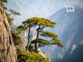統(tǒng)編版語文二年級(jí)上冊(cè)課件《8 黃山奇石》