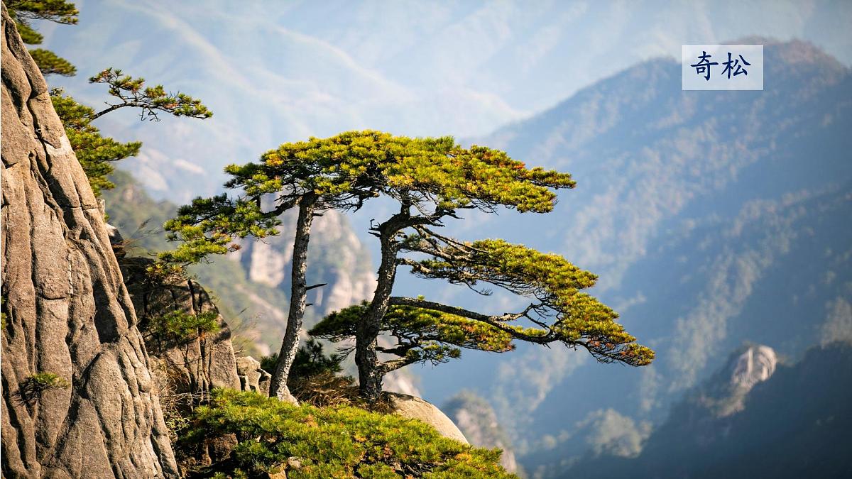 统编版语文二年级上册课件《8 黄山奇石》第3页