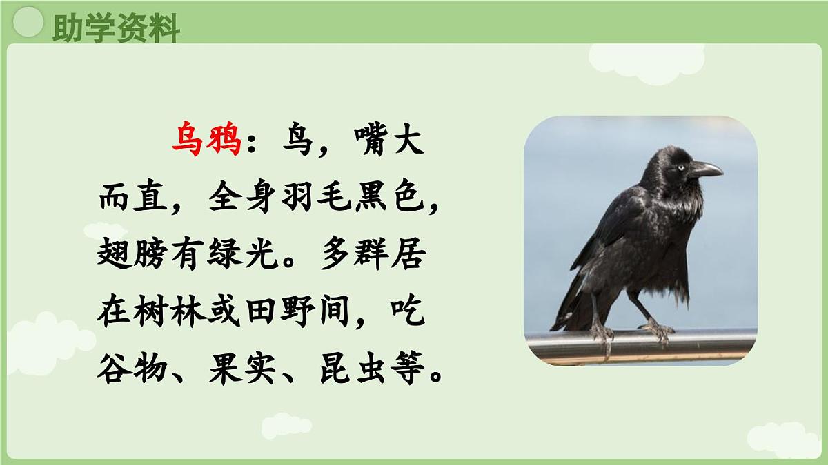 2025秋人教统编版一年级上册语文第8单元8.9《乌鸦喝水》第1课时课件第4页