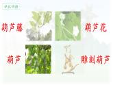 統(tǒng)編版語文二年級(jí)上冊(cè)課件《13 我要的是葫蘆》