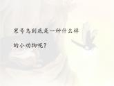 統(tǒng)編版語文二年級上冊課件《12 寒號鳥》