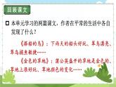 25秋統(tǒng)編版小學(xué)語(yǔ)文三年級(jí)上冊(cè)第五單元梳理與交流、初試身手（教案+配套課件）