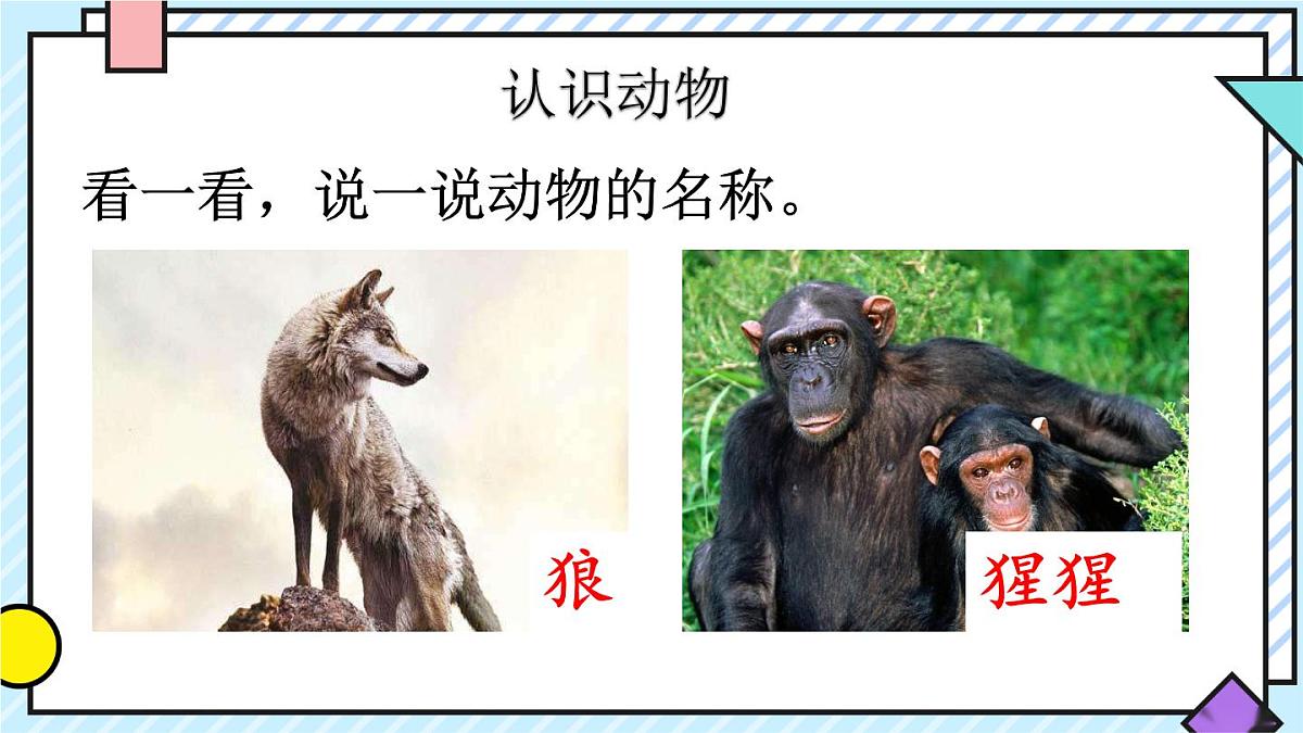 统编版语文二年级上册课件《语文园地八》第3页