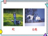 統(tǒng)編版語文二年級(jí)上冊課件《語文園地八》