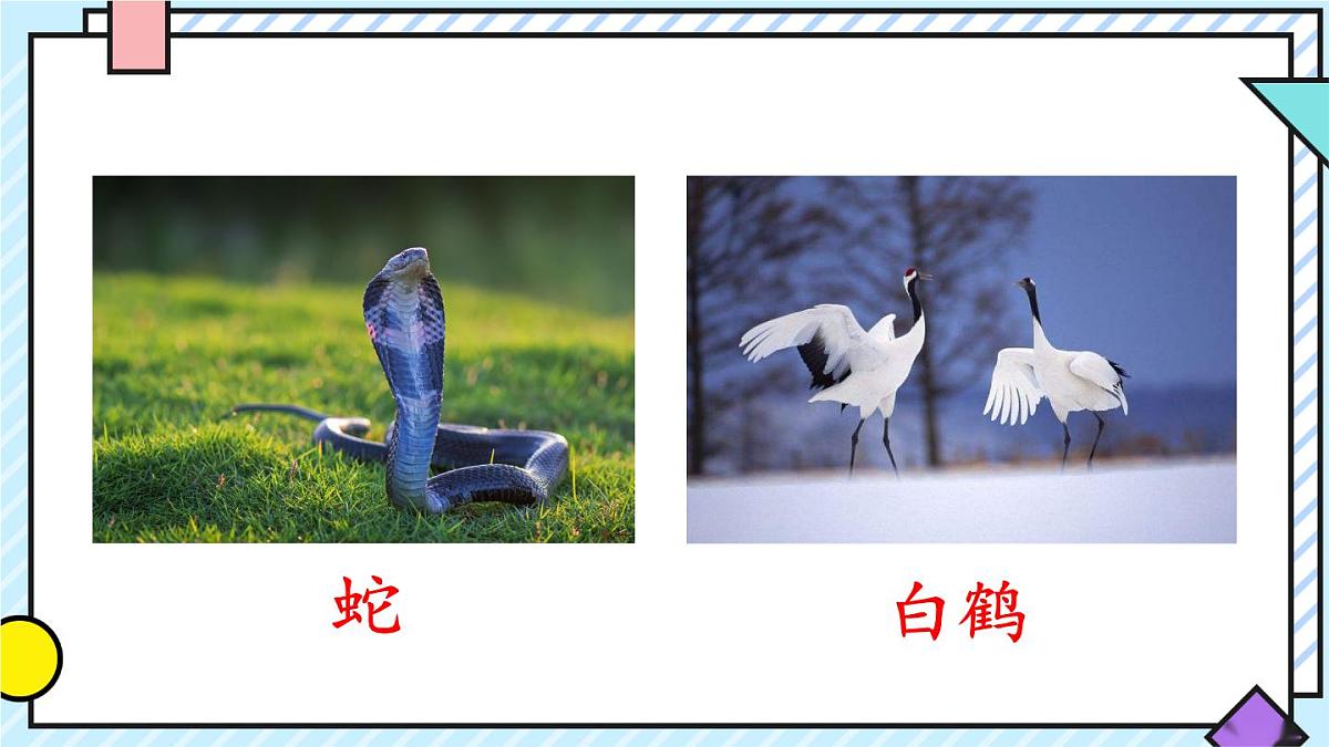 统编版语文二年级上册课件《语文园地八》第4页